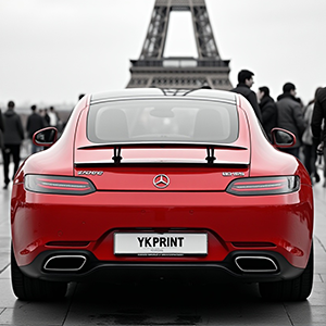 cache plaque voiture lyon